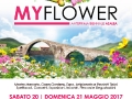 my-flower-21-maggio